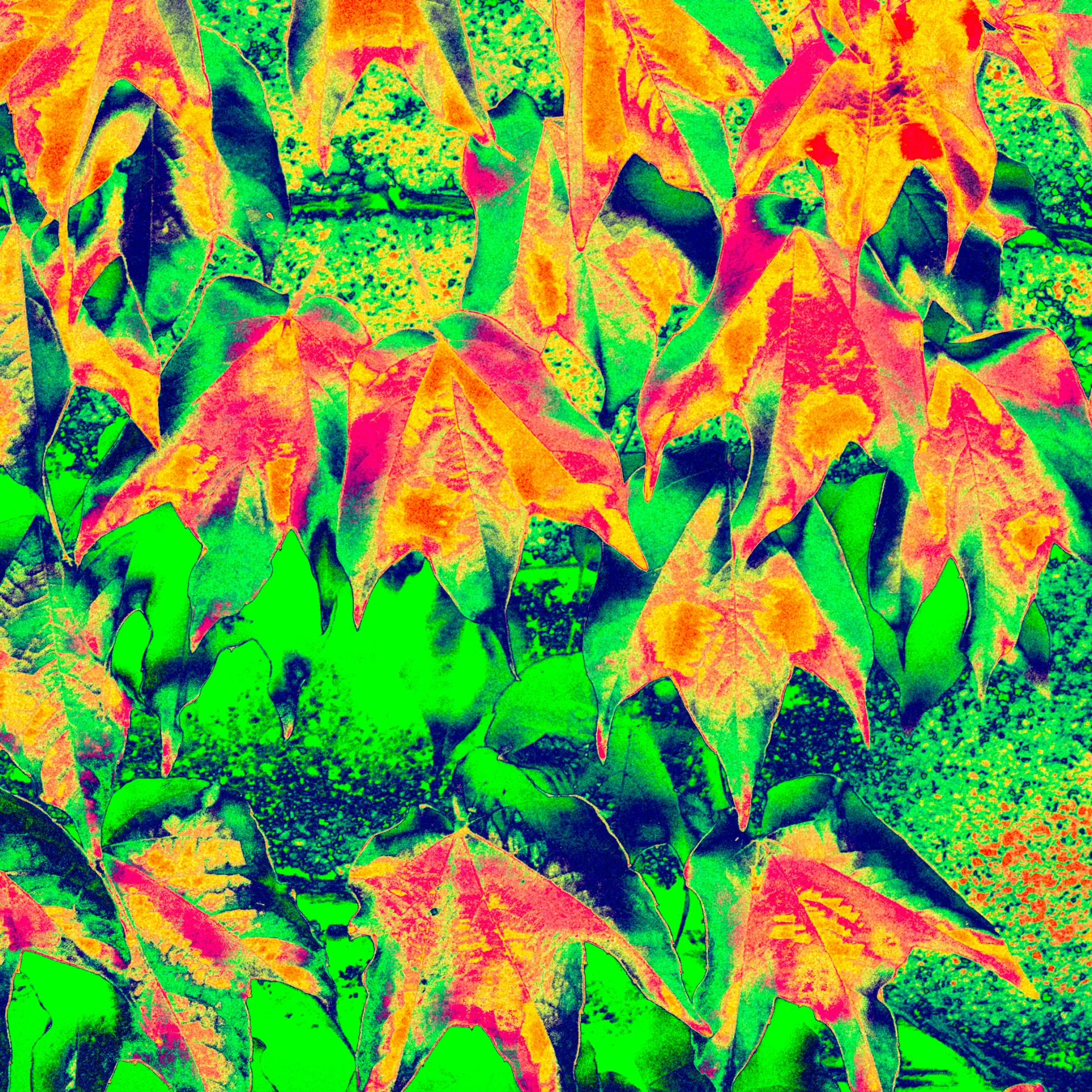 Untitled project - fotka 1