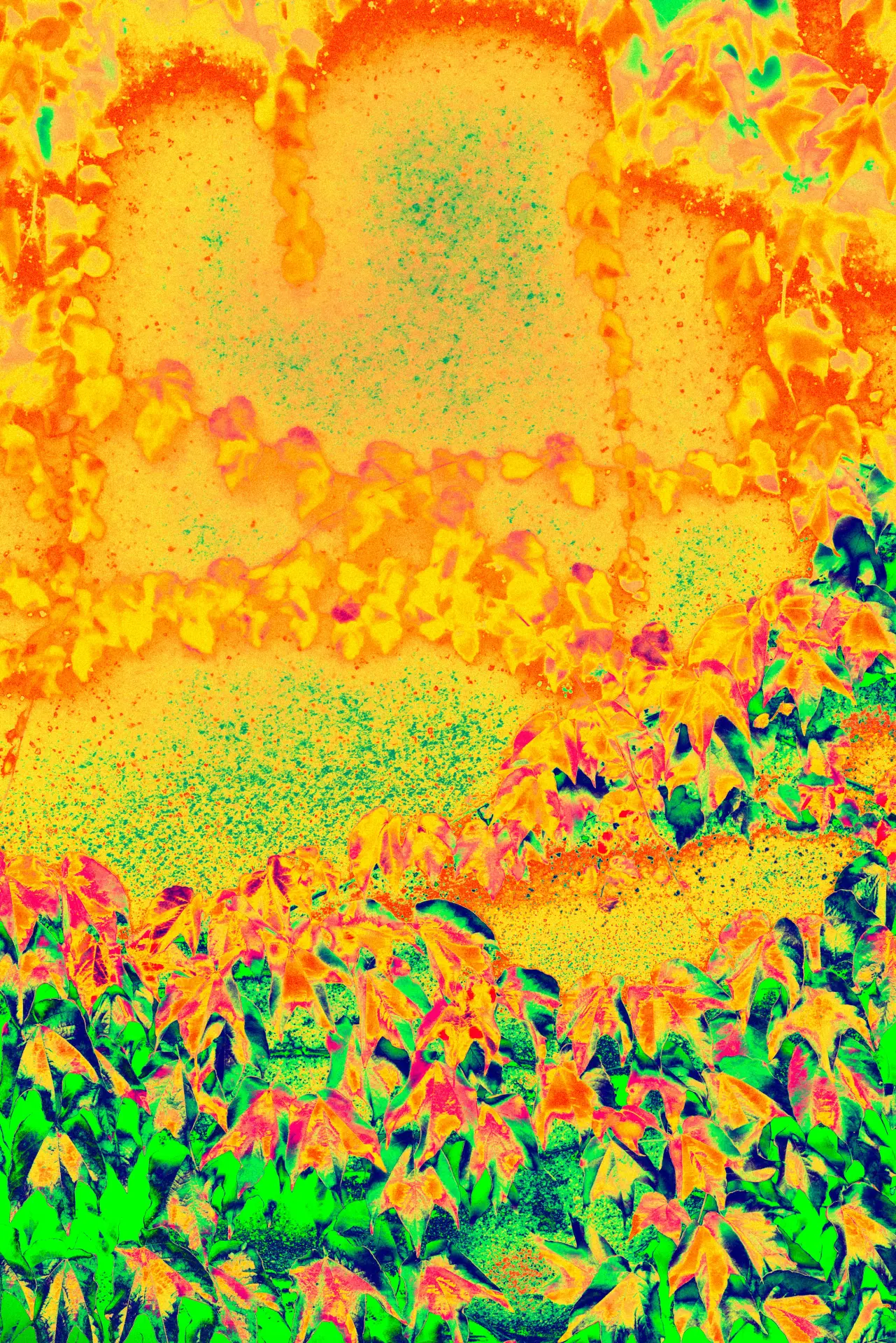 Untitled project - fotka 3