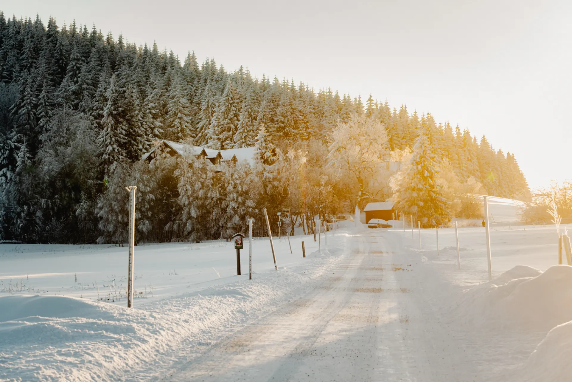 sporrrts & wintrrr - fotka 14