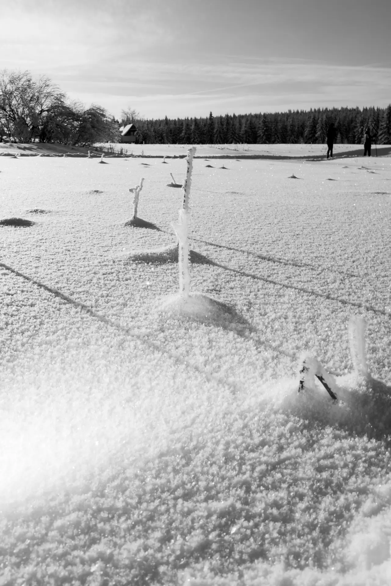 sporrrts & wintrrr - fotka 15