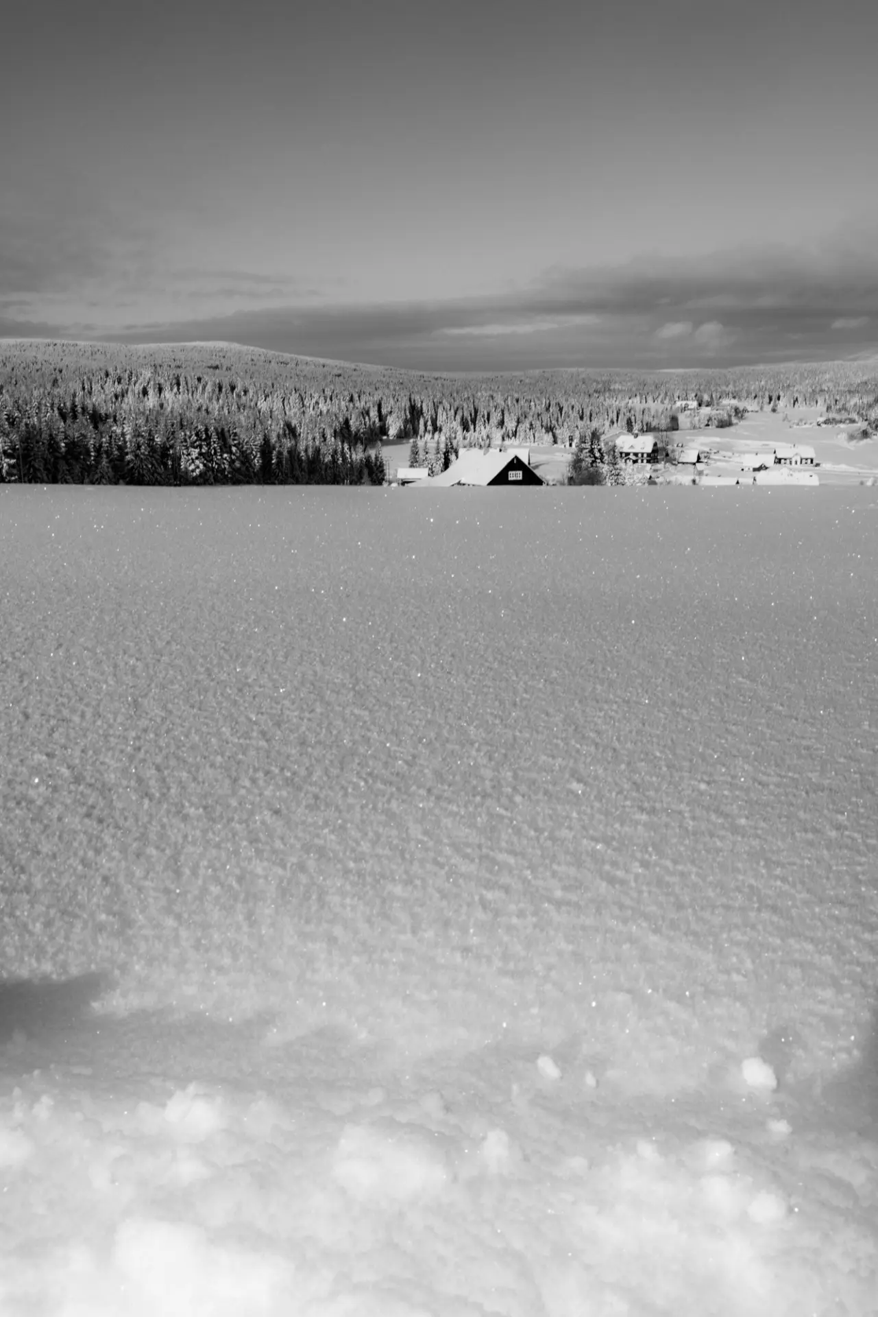 sporrrts & wintrrr - fotka 17