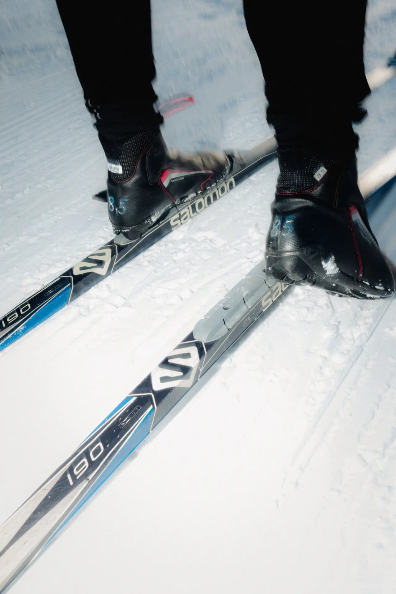 sporrrts & wintrrr - fotka 2