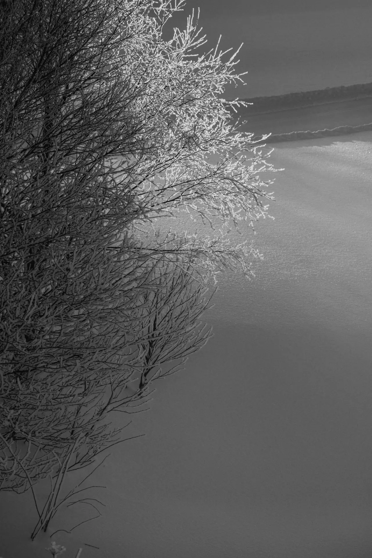 sporrrts & wintrrr - fotka 3