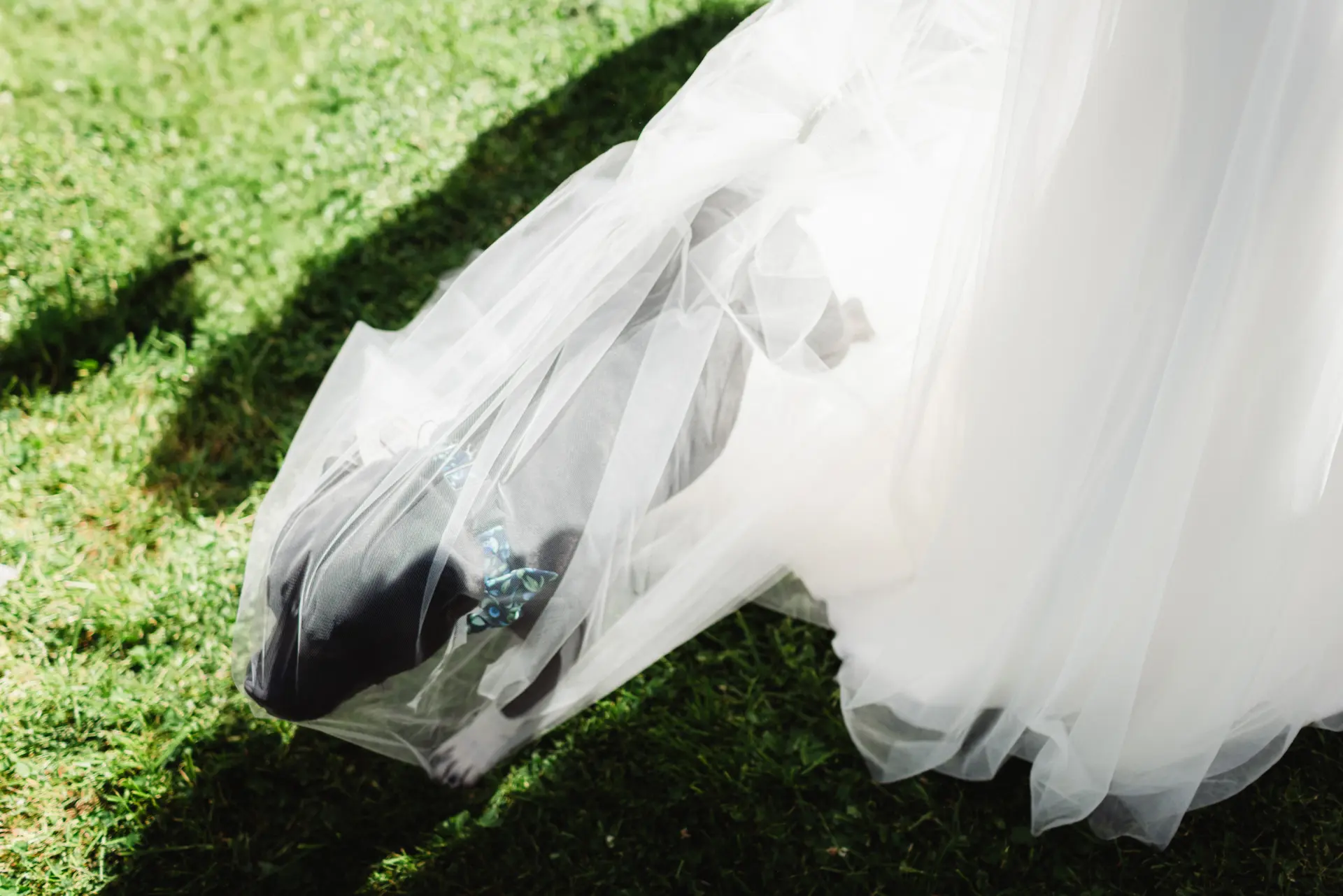 Svatební fotografie 12