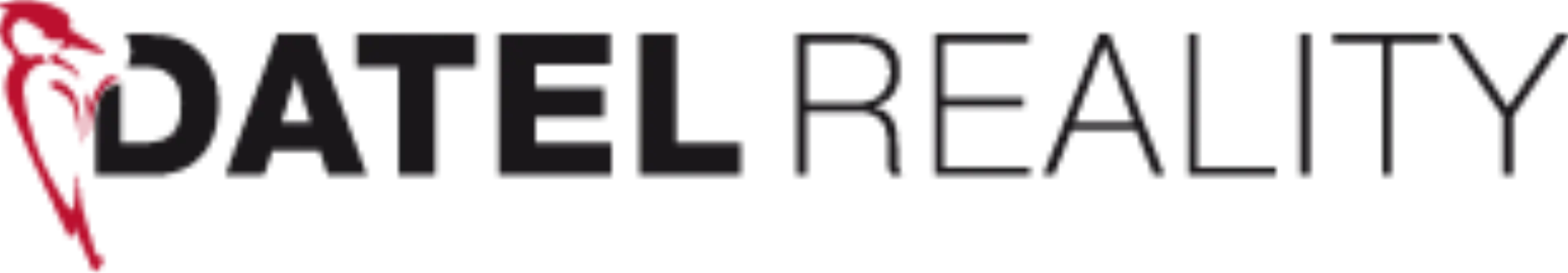 Ing. Otakar Pachovský, Datel Reality